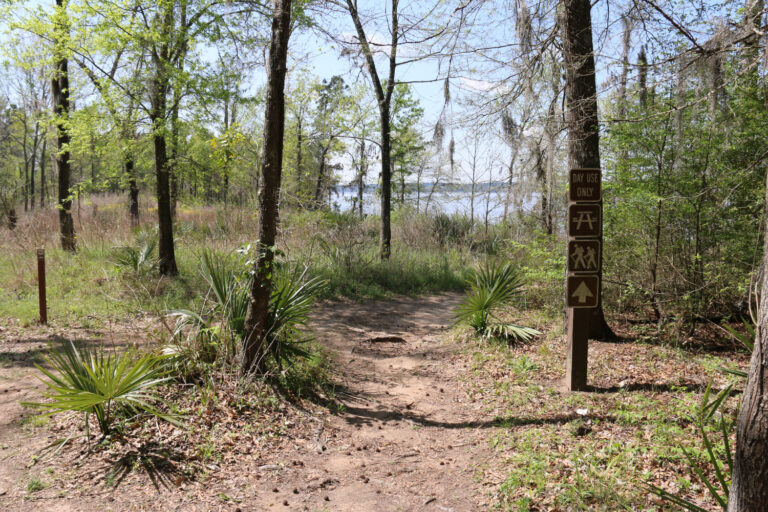 Cagle Recreation Area – Lake Conroe