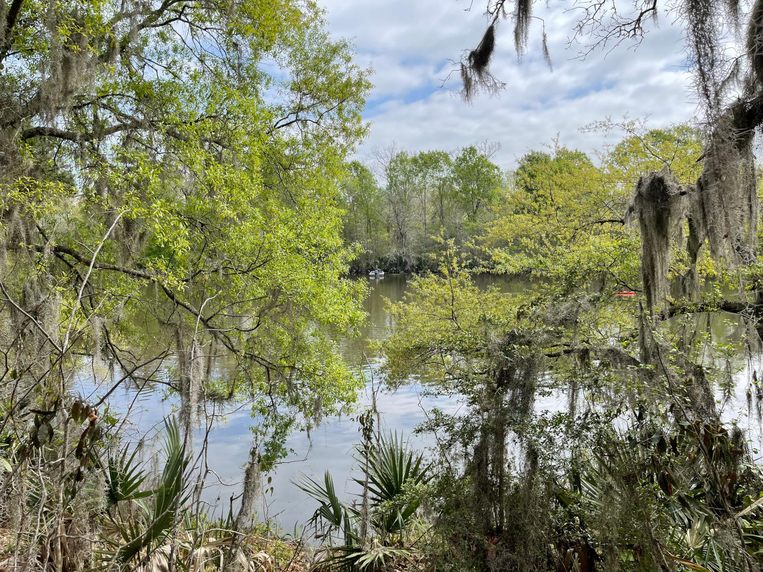 Stubblefield Lake Recreation Area – Lake Conroe